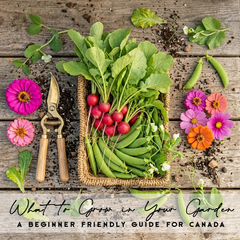 What to Grow in Your Garden | A Beginner-Friendly Guide for Canada