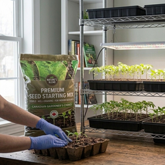 Seed Starting 101: Beginner Guide for Canadian Gardeners
