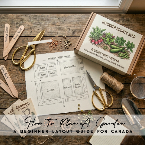 How to Design Your Garden | A Beginner Layout Guide for Canada