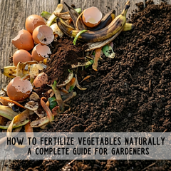 How to Fertilize Vegetables Naturally | A Simple Guide for Gardeners