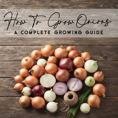 How To Grow Onions in Canada | Complete Growing Guide
