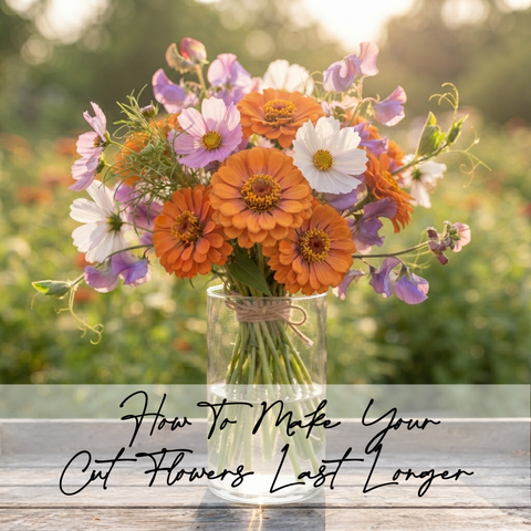 How to Make Your Cut Flowers Last Longer | Simple Tips