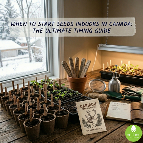 When to Start Seeds Indoors in Canada: The Ultimate Timing Guide