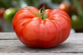 Tomato | Beefsteak Tomato