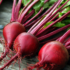 Beet | Babybeat