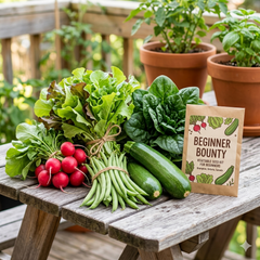 Beginner Bounty | The Essential Starter Kit