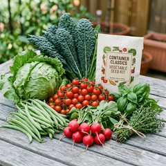 Container Classics | The Small Space Seed Kit
