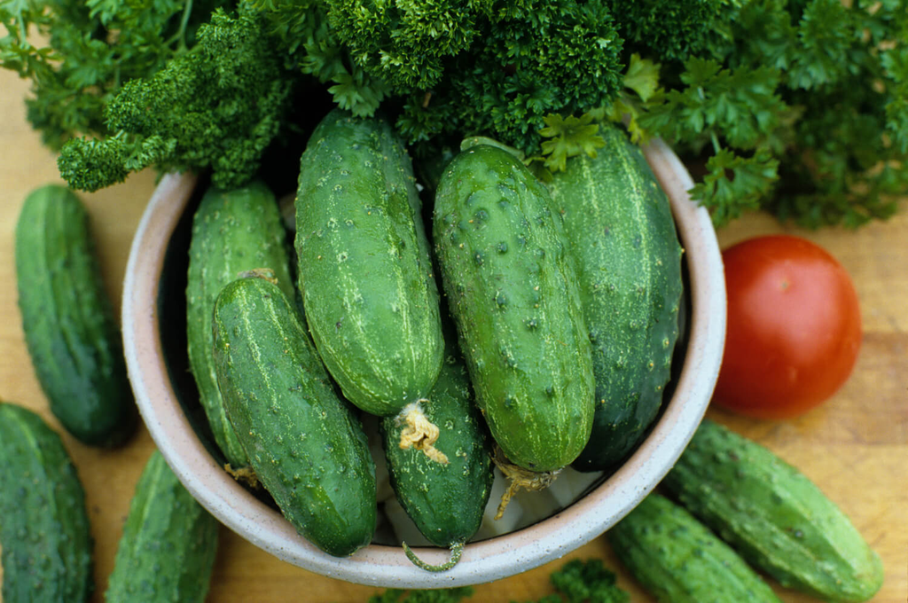 Cucumber | Marketmore 76