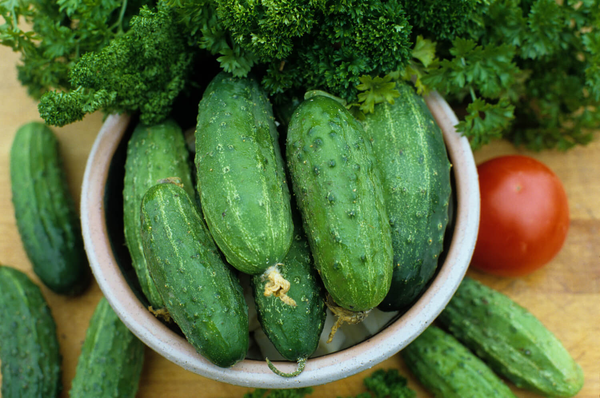 Cucumber | Marketmore 76