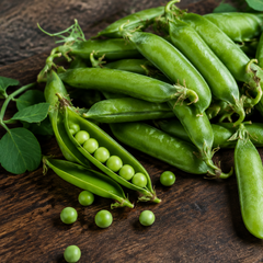 Pea | Shelling Pea 'Grundy-Perfect Arrow'