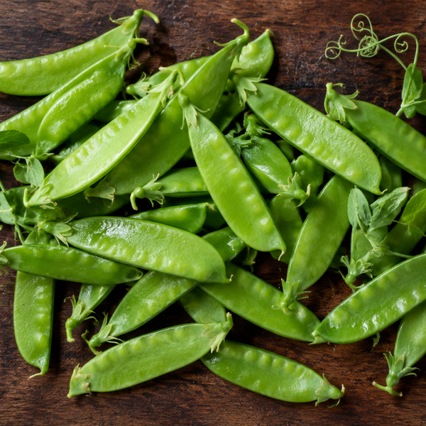 Pea | Snow Pea 'Avalanche'