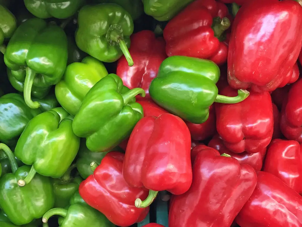 Pepper | Bell Pepper