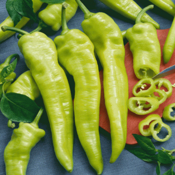 pepper - hungarian yellow wax