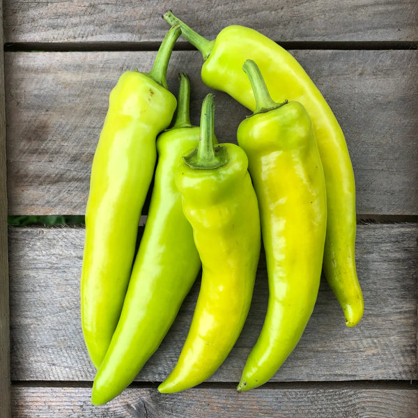 pepper - hungarian yellow wax
