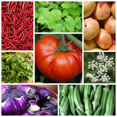 flavours of India