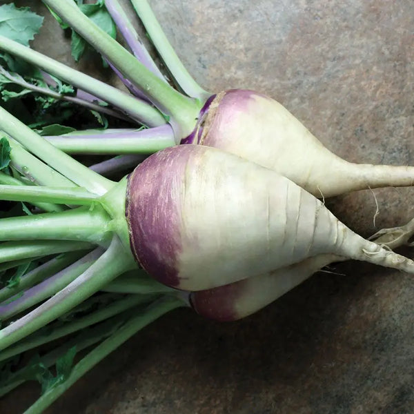 rutabaga