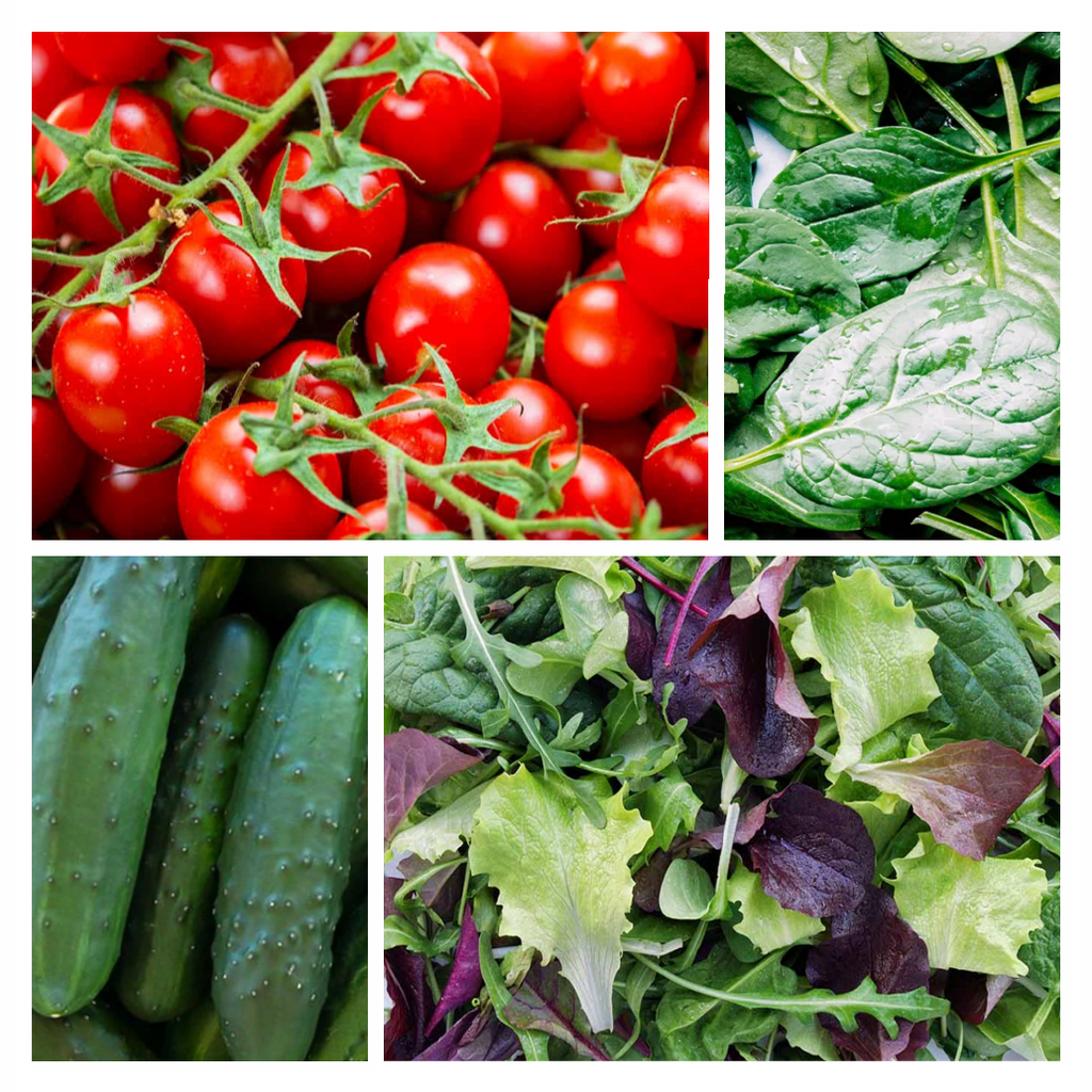 Summer Salads Seed Kit