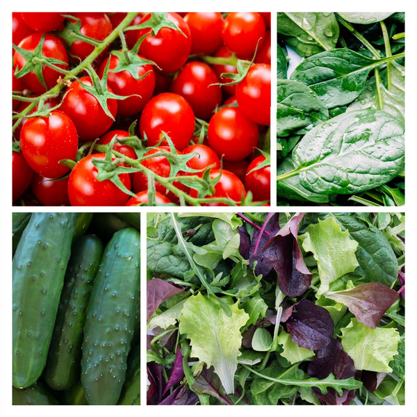 Summer Salads Seed Kit