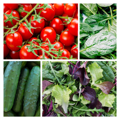 Summer Salads Seed Kit