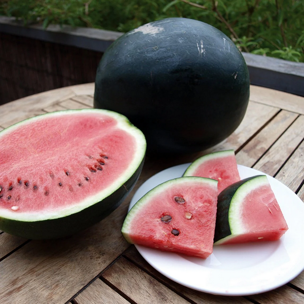 watermelon - sugary baby