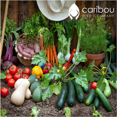 farmer's harvest seed kit