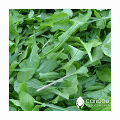 arugula