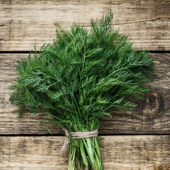 dill