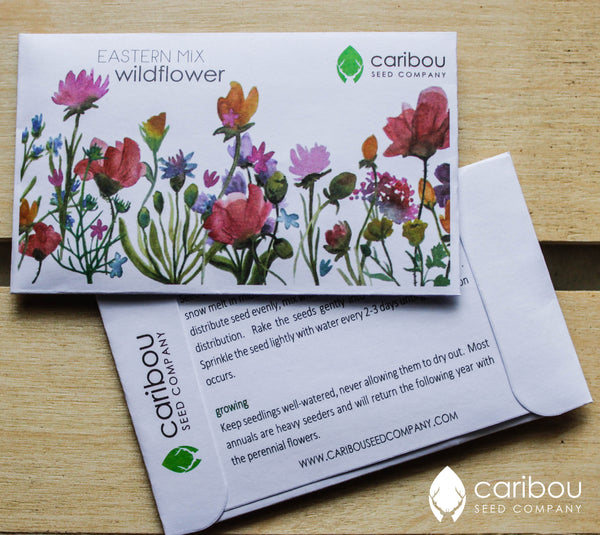 wildflower - eastern mix - Caribou Seed Company