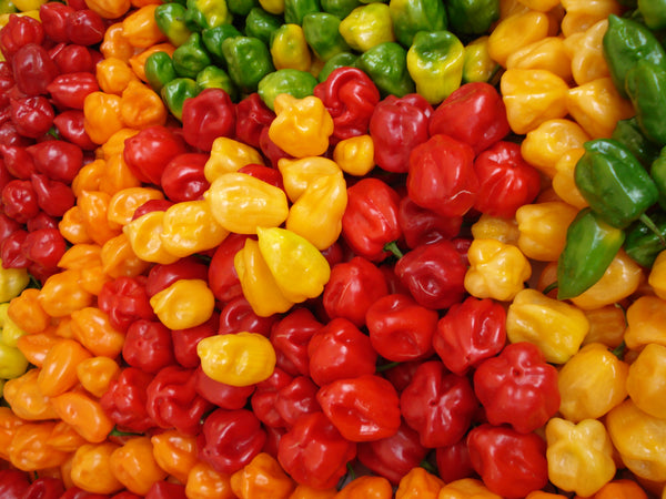hot & spicy pepper kit