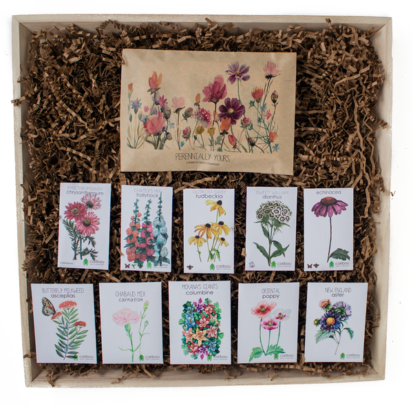 in bloom gift box