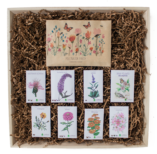 in bloom gift box