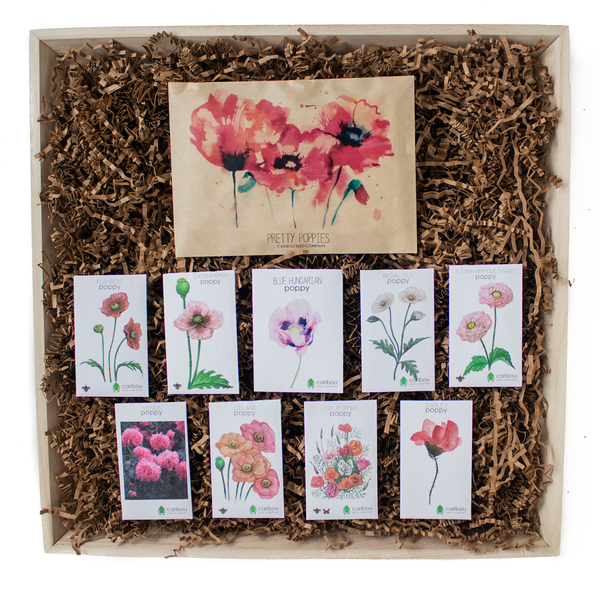 in bloom gift box
