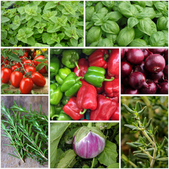 flavours of Italy