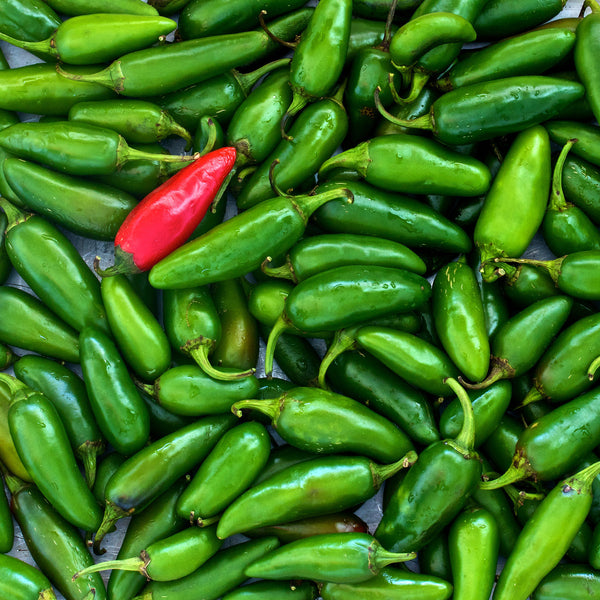 hot & spicy pepper kit