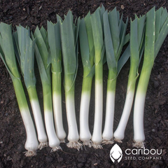 leek