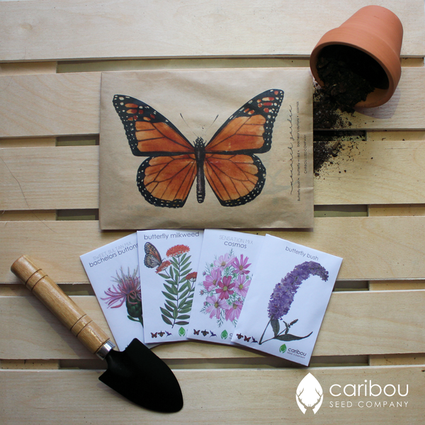 monarch butterfly garden kit - Caribou Seed Company