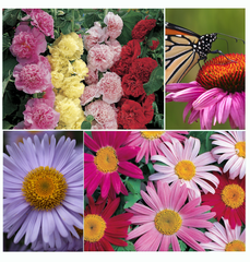 perennially yours garden kit