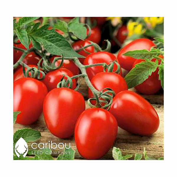 tomato - roma - Caribou Seed Company
