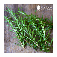 rosemary