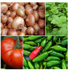 spicy salsa garden seed kit