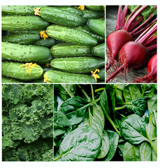green smoothies seed kit