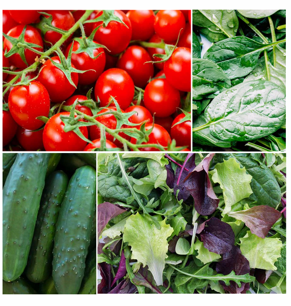 summer salads seed kit