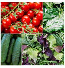 summer salads seed kit