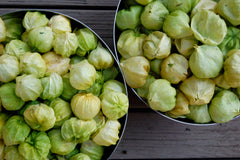 tomatillo - toma verde