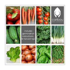 dad's veggie garden kit