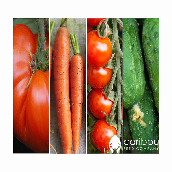 dad's veggie garden kit - Caribou Seed Company