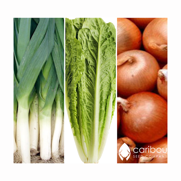 dad's veggie garden kit - Caribou Seed Company