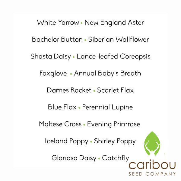 wildflower - eastern mix - Caribou Seed Company