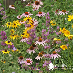 wildflower - bird & butterfly mix